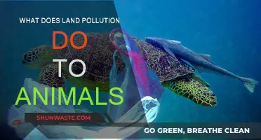 Land Pollution: A Lethal Threat to Animals