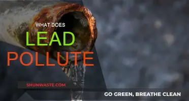 Lead's Toxic Legacy: A Pollutant's Impact