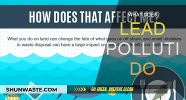 Lead Pollution: A Slow Poisoning