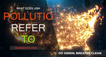 Light Pollution: Unseen Impact on Our World