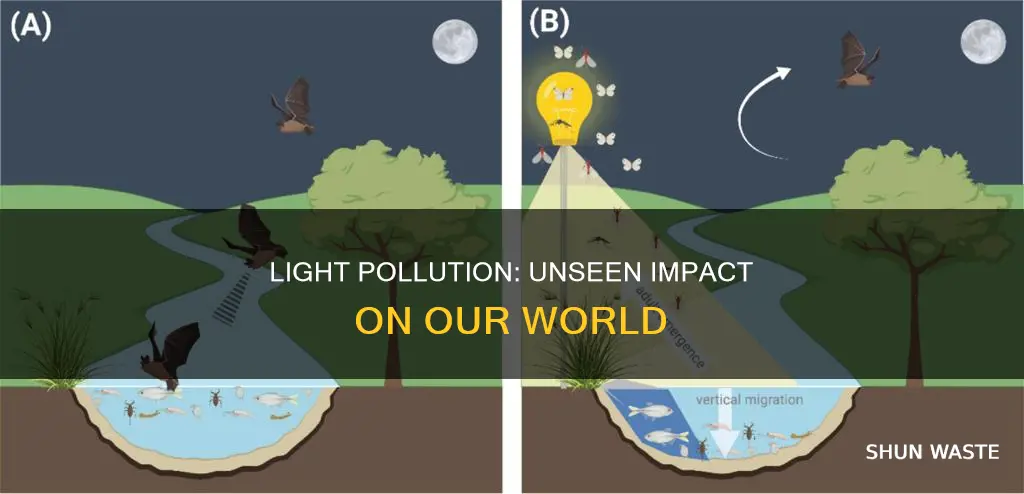 what does ligh pollution refer to