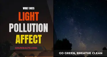 Light Pollution: Impacting Nature, Disrupting Ecosystems and Human Health