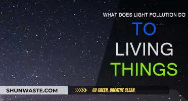 Light Pollution: Harming Nature and Human Health