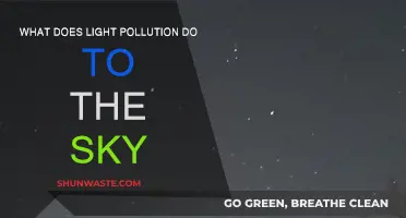 Light Pollution: Sky's the Limit?