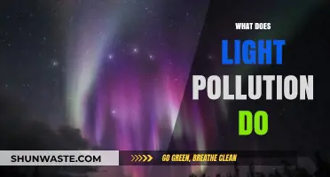 Light Pollution: Its Impact and Our Future