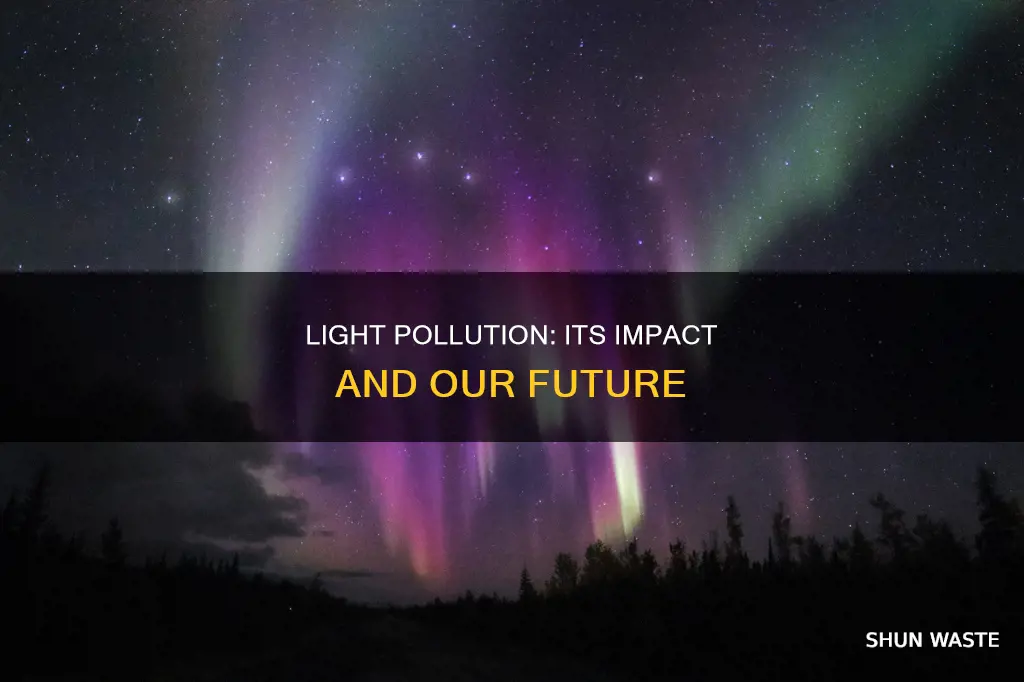 what does light pollution do