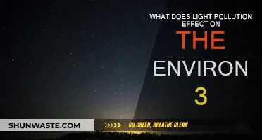 Light Pollution's Environmental Impact: A Dark Problem