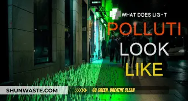 Light Pollution: The Dark Side of Lights