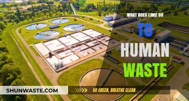 Exploring Lime's Role in Human Waste Management: A Comprehensive Guide