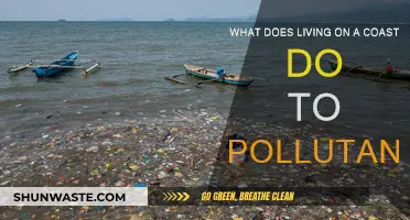 How Coastlines Affect Pollutants: A Complex Relationship
