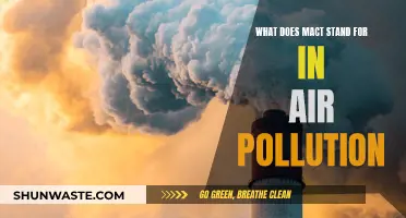 Understanding MACt: Air Pollution's Complex Acronym