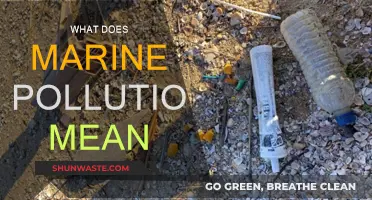 The Dark Side of Marine Pollution