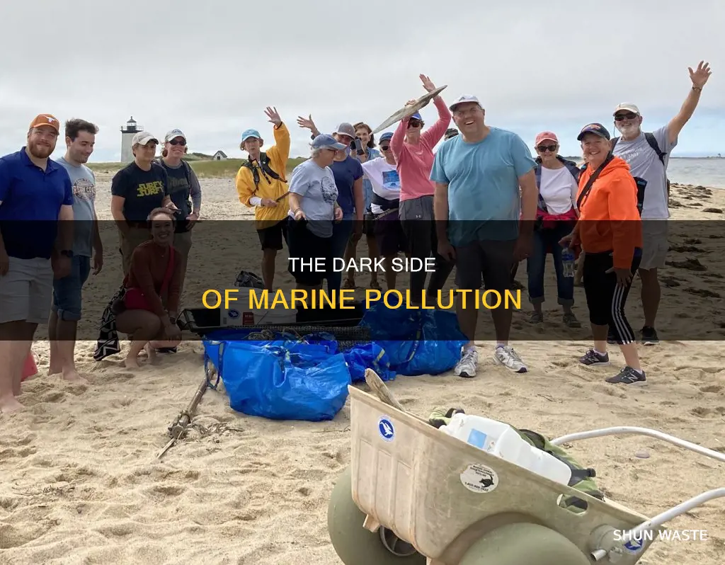 what does marine pollution mean