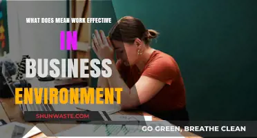 Effective Work in Business: Strategies for Productivity and Success