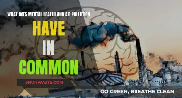 Mental Health: Air Pollution's Hidden Victim