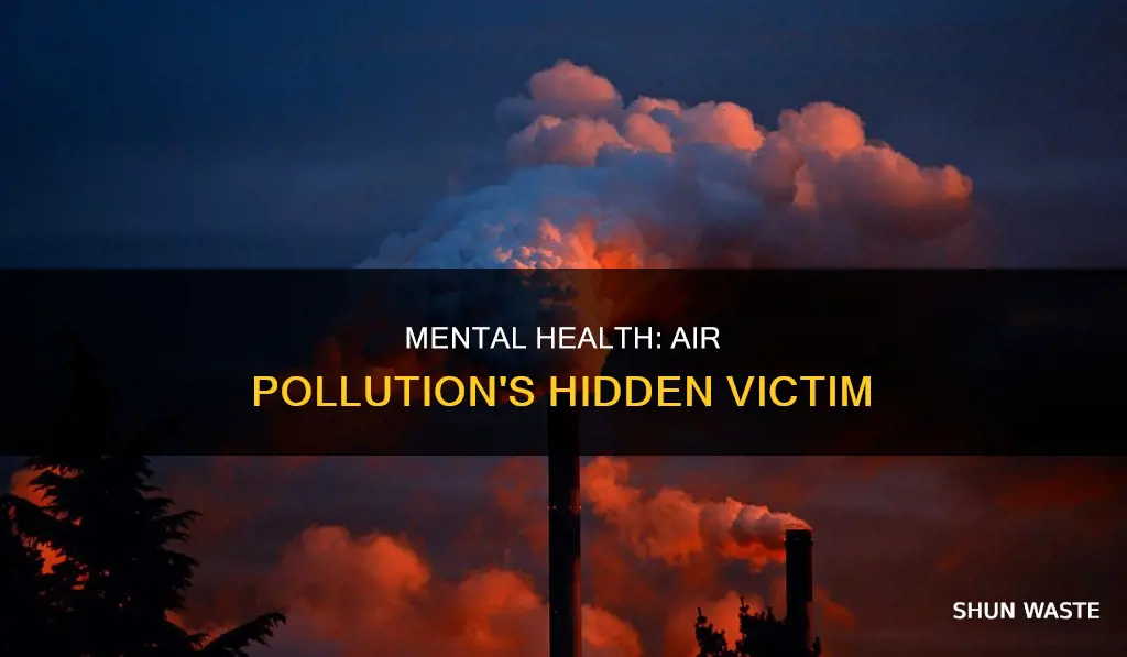 what does mental health and air pollution have in common