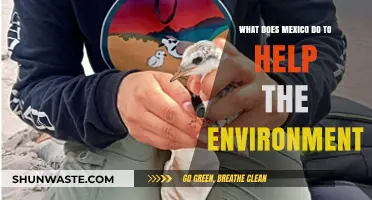 Mexico's Green Initiatives: Environmental Efforts and Sustainable Practices