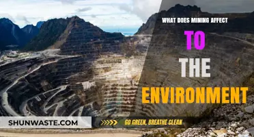 Mining's Environmental Impact: Land, Water, Air, and Ecosystems at Risk