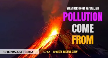 Natural Air Pollution: What's the Primary Source?