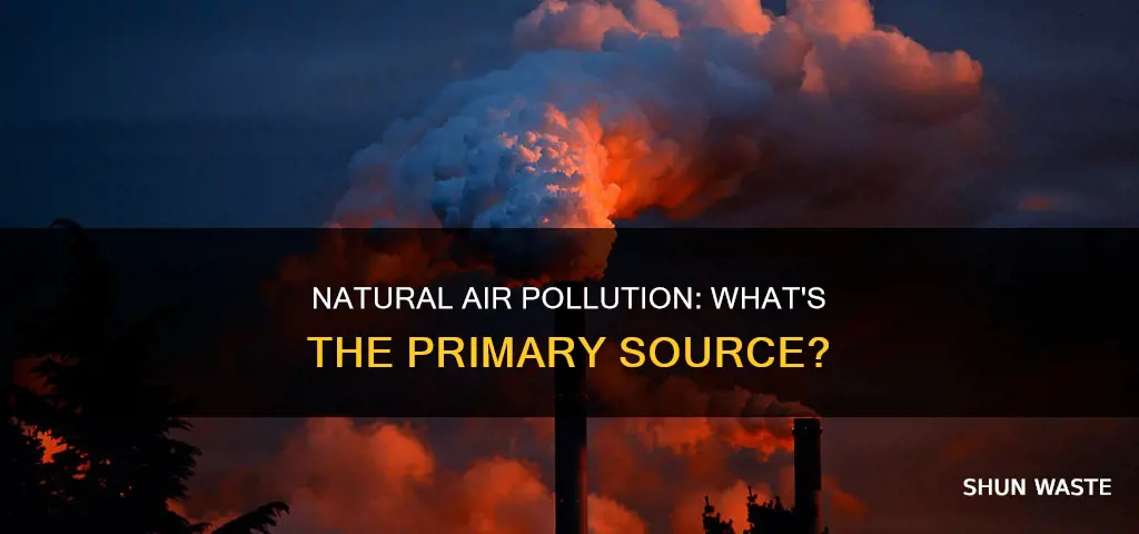 what does most natural air pollution come from