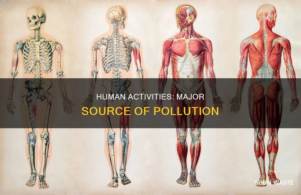 what does most pollution come from