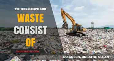 Unveiling the Composition of Municipal Solid Waste: A Comprehensive Guide