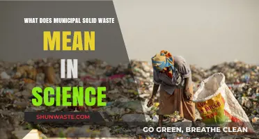 Decoding Municipal Solid Waste: A Scientific Breakdown