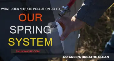 Spring Systems: Nitrate Pollution's Impact