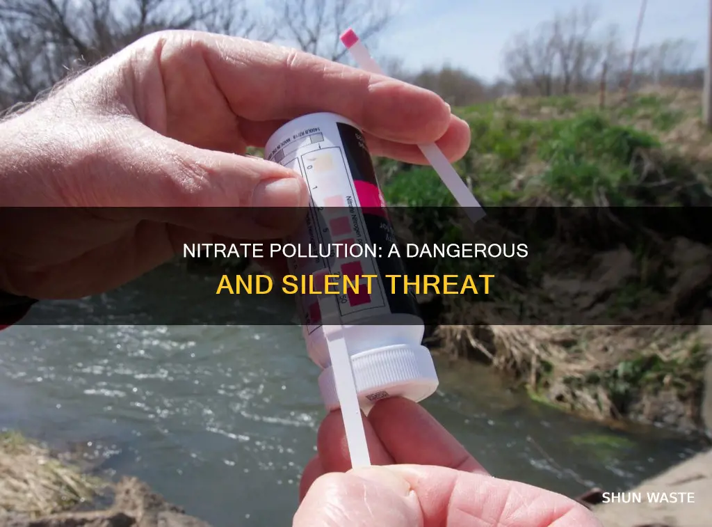 what does nitrate pollution do