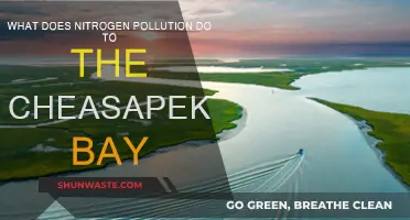 Nitrogen Pollution: Chesapeake Bay's Silent Killer