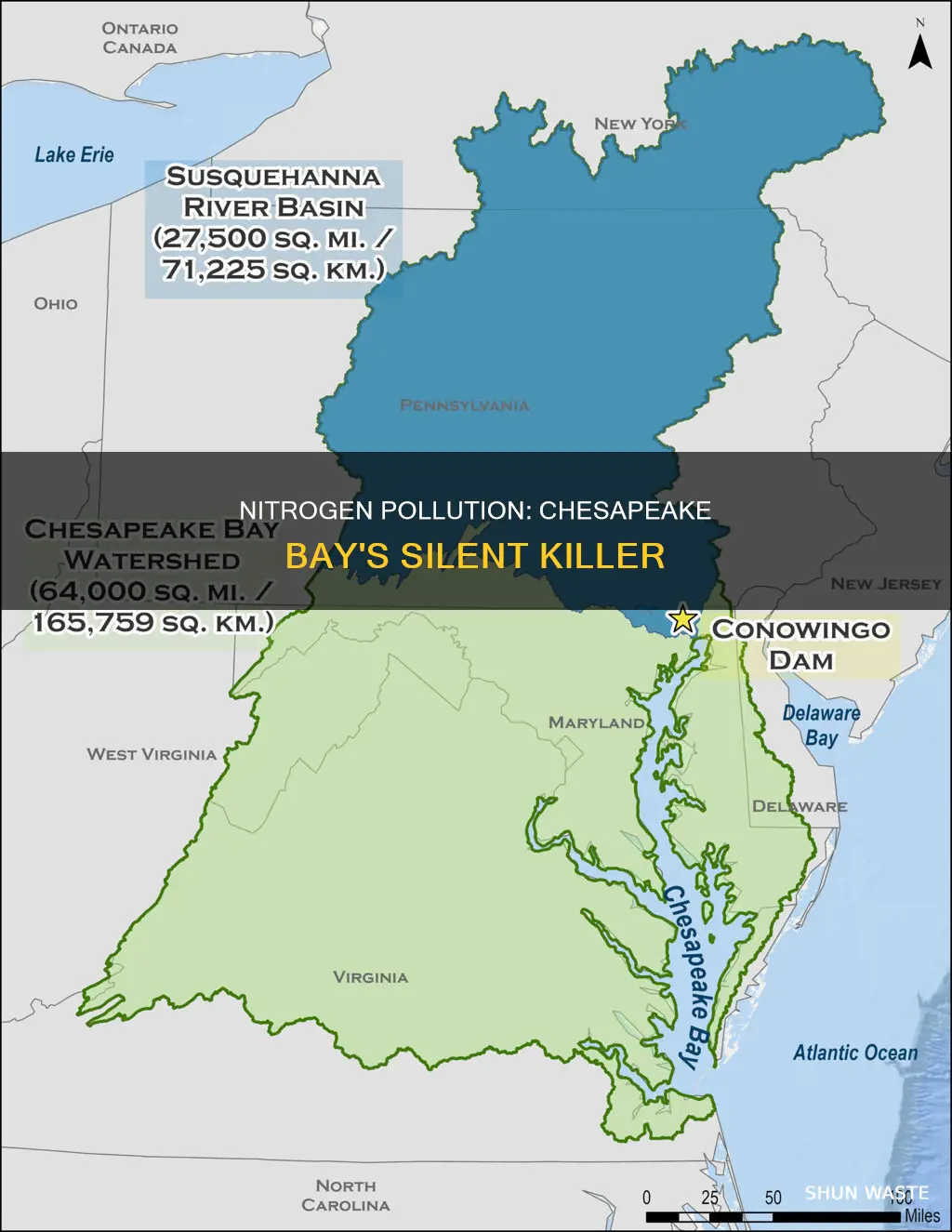 what does nitrogen pollution do to the cheasapeke bay