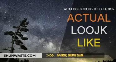 Experience True Darkness: No Light Pollution