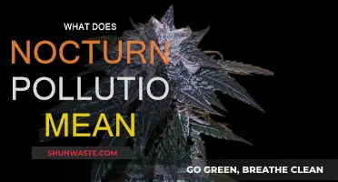 Nocturnal Pollution: Understanding Nighttime Emissions