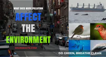 Noise Pollution's Impact: How Environmental Health Suffers from Unchecked Sound