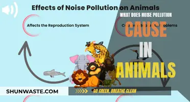 The Impact of Noise Pollution on Animal Behavior and Health