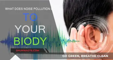 Noise Pollution: Its Harmful Effects on Your Body