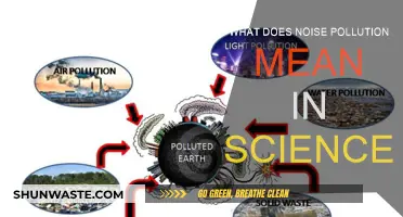 Understanding Noise Pollution: Science and Impact