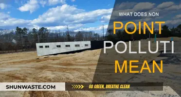 Understanding Non-Point Pollution: A Complex Environmental Issue