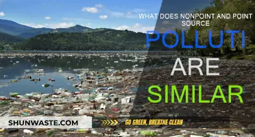 Nonpoint and Point Source Pollution: Similarities and Differences
