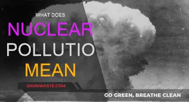 Nuclear Pollution: Understanding Radioactive Contamination