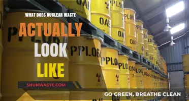 Unveiling the Reality: What Nuclear Waste Actually Looks Like