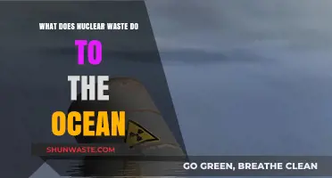 The Impact of Nuclear Waste on Ocean Ecosystems