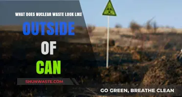 Unveiling the Hidden Face of Nuclear Waste: Beyond the Can