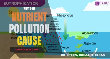 Nutrient Pollution: A Hidden Environmental Threat