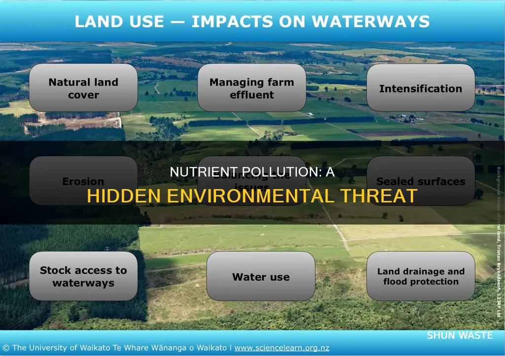 what does nutrient pollution cause