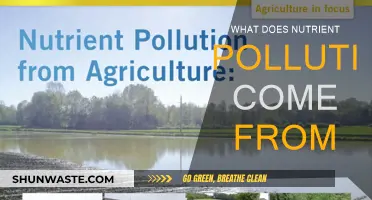 Sources of Nutrient Pollution: A Comprehensive Guide
