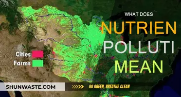 Nutrient Pollution: What Does It Mean?
