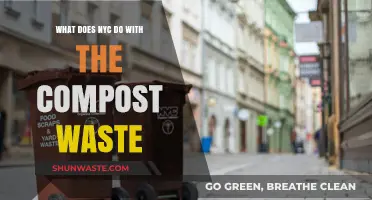 Sustainable City: How NYC Manages Its Compost Waste