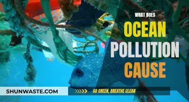 Ocean's Woes: Unveiling the Impact of Pollution