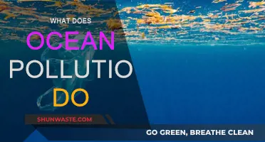 Ocean Pollution: Understanding the Devastating Impact